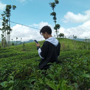 gabut