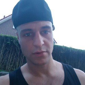 Wölfe im weißen Licht