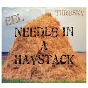 nEEdLe  n a Haystack with Thrusky 