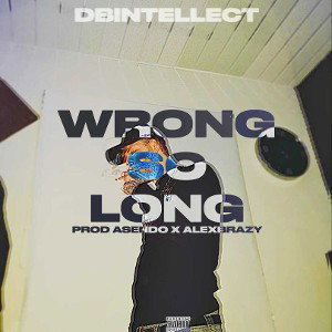 Dbintellect - Wrong so long