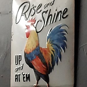 ese go and step