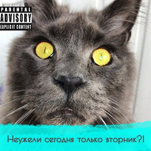 Вторник
