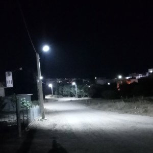 fom sowa 5