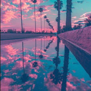 Summer won’t be a bummer 