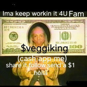 100 $veggiking CashAppMe     #FlightOfTheRhyme
