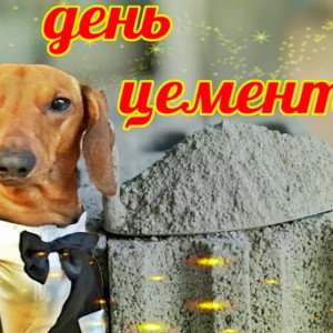 Шиза