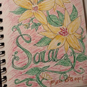 S.A.R.A.I