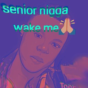 senior nigga wake me 