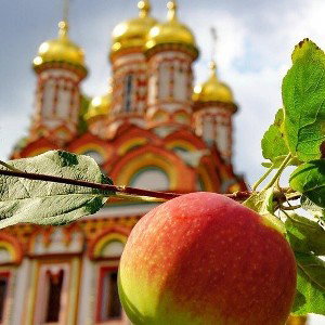 Bizzi Dizzi Яблочный спас 