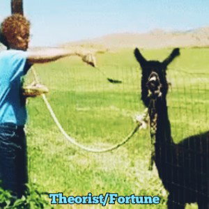 Feed The Llama