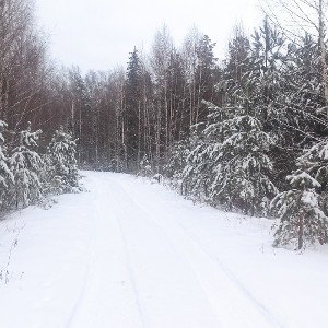 струна любви 