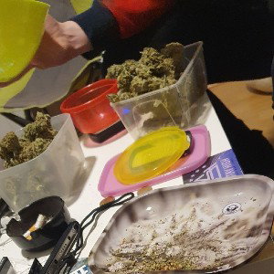 420freestyle