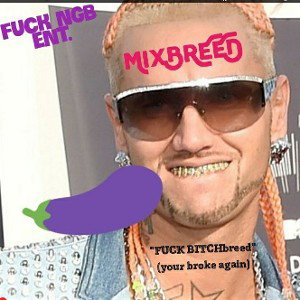mixbreed  boi 💨🐜(diss)