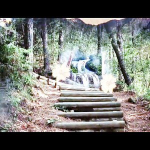 neysong -desahogo-