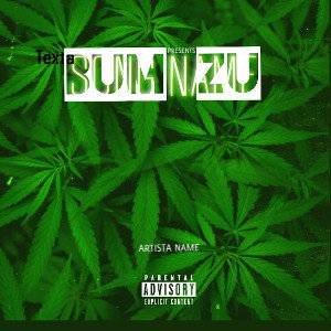 Bum zu 