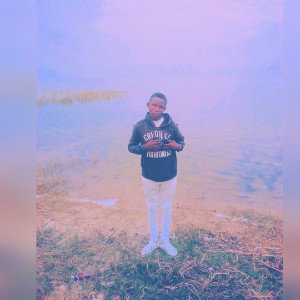 stayle farceey filecicika