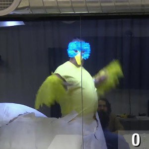 bird shake