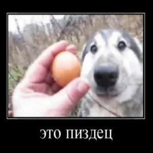 бебра 3