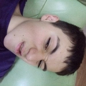 мс пильмень