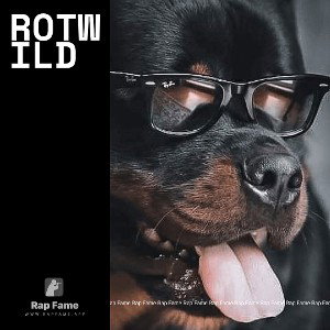 Rotwild