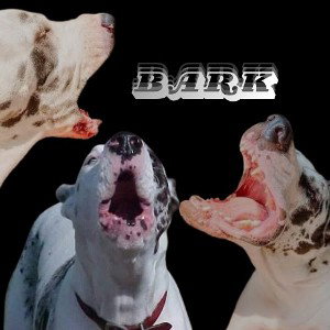 Tuvii - Bark