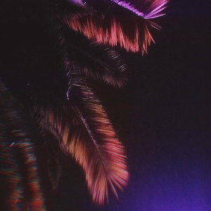 Oceans of Liquor 