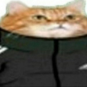 Жестокий