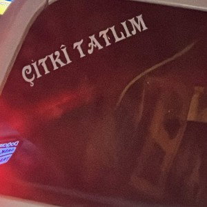 LİL KAYA - Suç ve ceza 