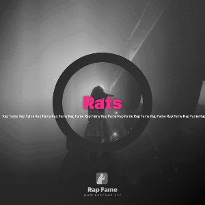 Rats