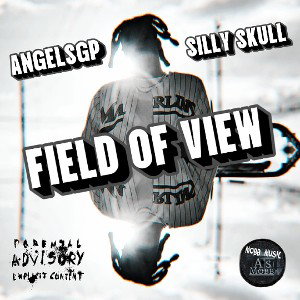 FIELD OF VIEW 