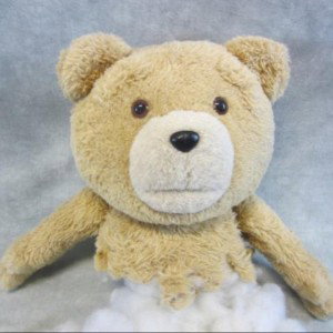 I LOST MY VIRGINITY TO A TEDDY BEAR 