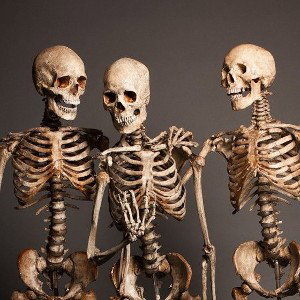 Spooky Scary Skeletons (HD Version)