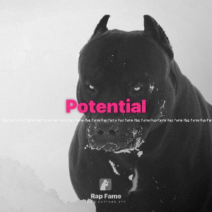 Potential
