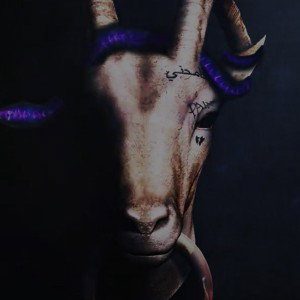 the goats