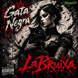 Gata Negra