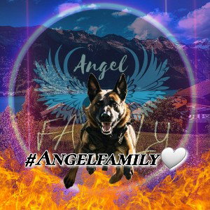 #angelfamily🤍
