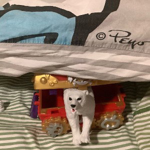 precioplaya*€)_”ep
