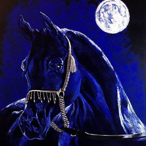 🌌Black & Blue Horse Freestyle!
