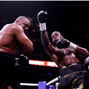 wilder vs chisora