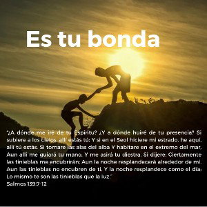 es tu bonda 