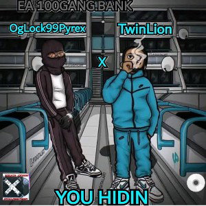 You Hidin ( featuring.-Twin Lion 🦁) Official audio 