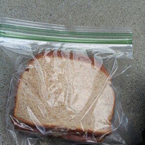 sandwhich music