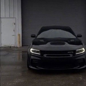 😶‍🌫️