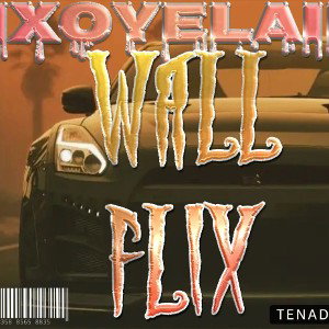 IXOYELAII   WILL FLIX