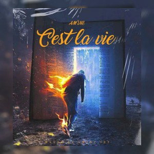 AMiNE - C'est La Vie 