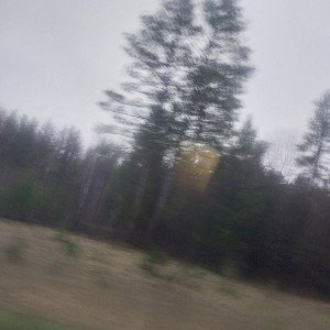 ALR - JUJU