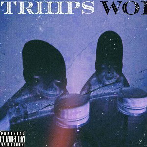 Triiipsworld 