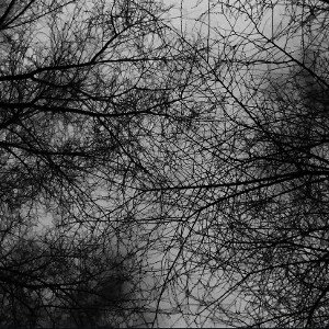 Burden No More (I Don’t Want This Day)