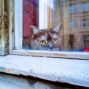 ЗАДУМАЛИ ОДНАЖДЫ. 