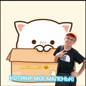 КОТИКИ МОЇ МАЛЕНЬКІ 